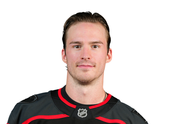 Andrei Svechnikov headshot
