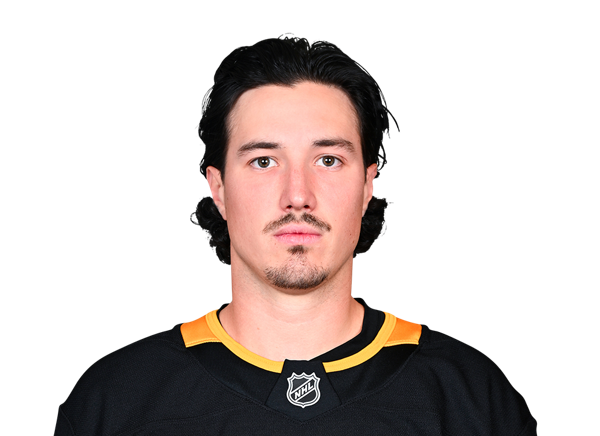 Rafael Harvey-Pinard headshot