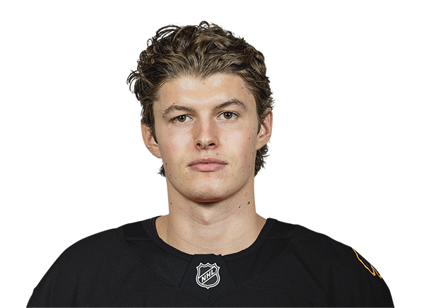 Lukas Reichel headshot