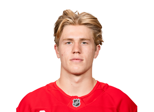 Michael Brandsegg-Nygard headshot