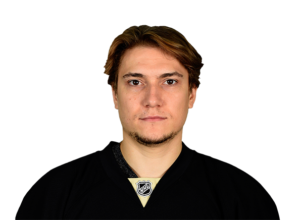 Sergei Plotnikov headshot