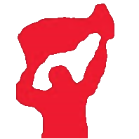 Player's Choice Sports logo